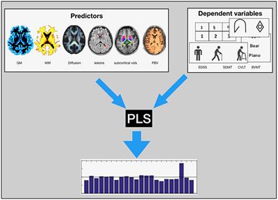 The Contribution of Various MRI Parameters to Clinical and Cognitive Disability in Multiple Sclerosis